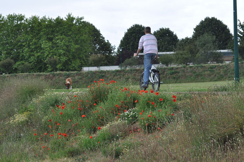 Cycliste © Sylvie Le Calvez