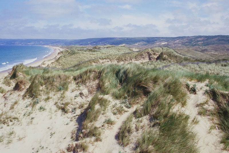 Dunes de Biville © CEL