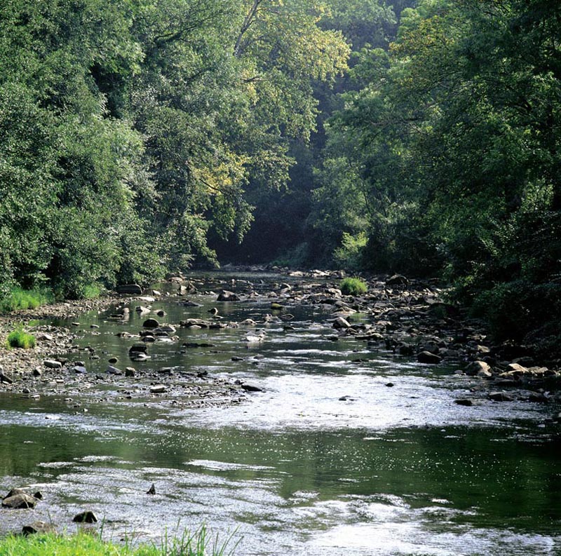 Eaux vives de la Sarthe © Michel Desaunay