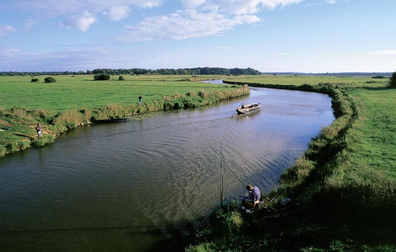 Paysage de marais © R. Gueguan