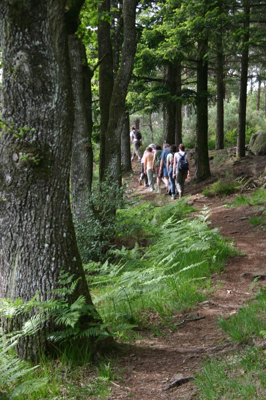Sortie en forêt © PNRNM